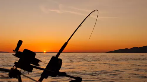 Ouverture de la pêche et règlement