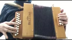 Cours d'accordéon diatonique